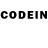 Псилоцибиновые грибы GOLDEN TEACHER Farxod Isacov