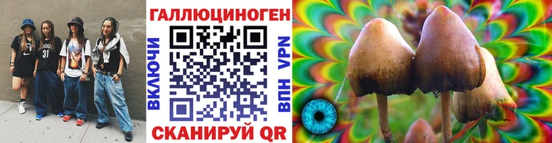 Псилоцибиновые грибы Psilocybine cubensis  Демидов 